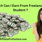 How Much Can I Earn From Freelancing As A Student ?