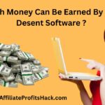 How Much Money Can Be Earned By Selling A Desent Software ?