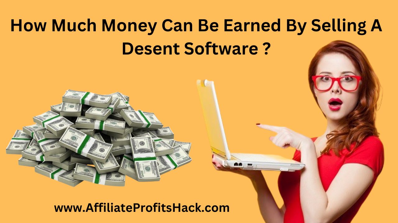 How Much Money Can Be Earned By Selling A Desent Software ?