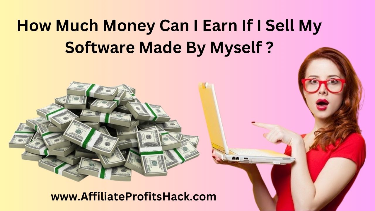 How Much Money Can I Earn If I Sell My Software Made By Myself ?