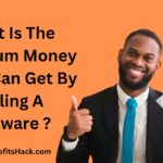 What Is The Maximum Money That I Can Get By Selling A Software ?