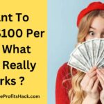 I Want To Make $100 Per day. What Offer Really Works ?